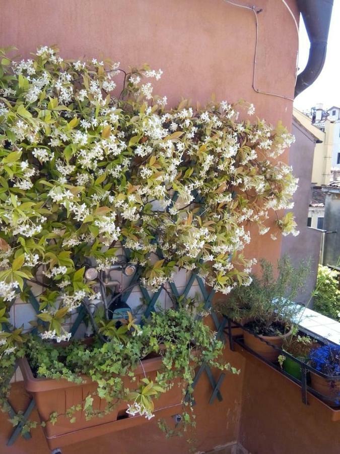 Ca' San Silvestro 2 Terrazze Nel Cuore Di Venezia Ngoại thất bức ảnh
